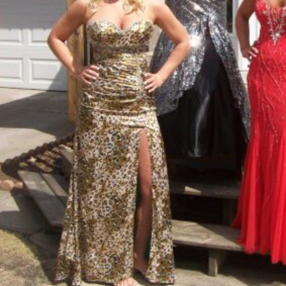 Leopard teal dress